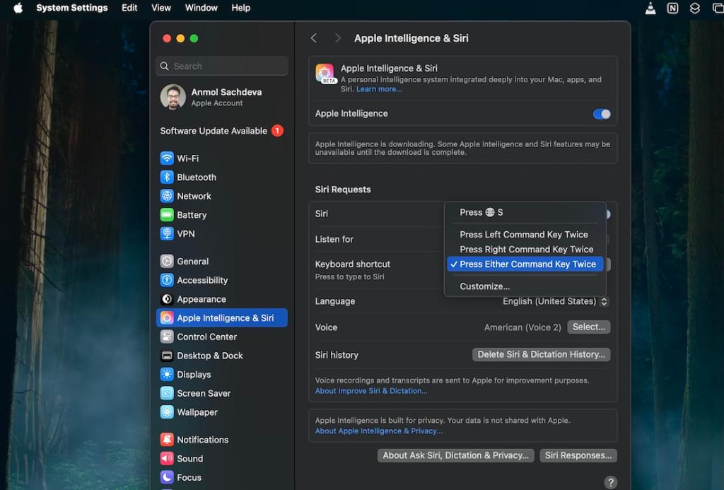 Customize Siri Type on Mac