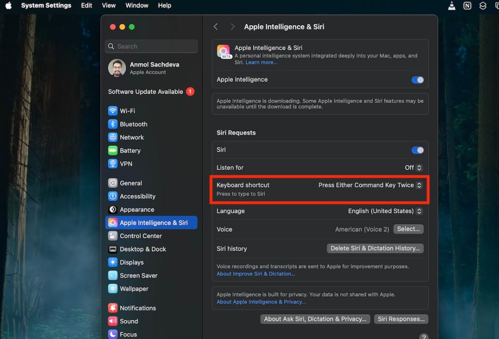 Enable Siri Typing on Mac