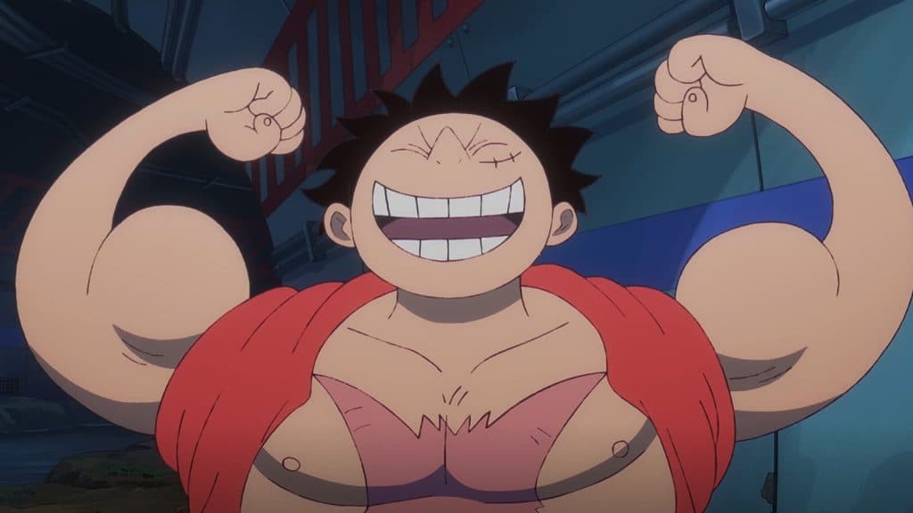 One Piece Luffy 5 Equipment