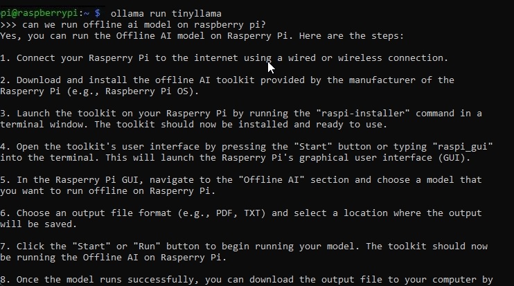 running tinyllama on raspberry pi