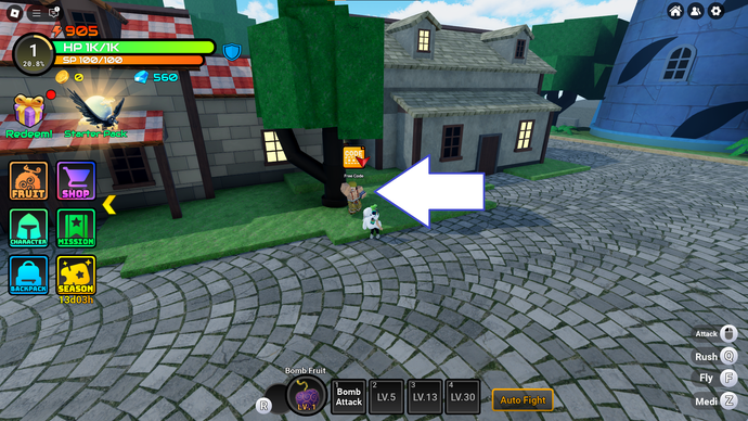 A screenshot of Fruit Reborn in Roblox showing the game's codes NPC.