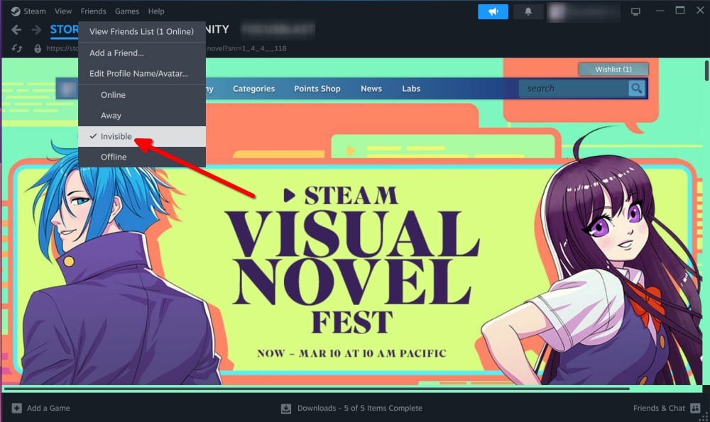 STEAM FROSESS DRAPDOND -valikko näkymättömällä vaihtoehdolla