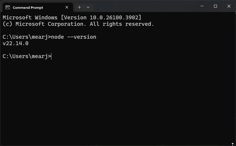 Controleer knooppunt JS -versie in terminal