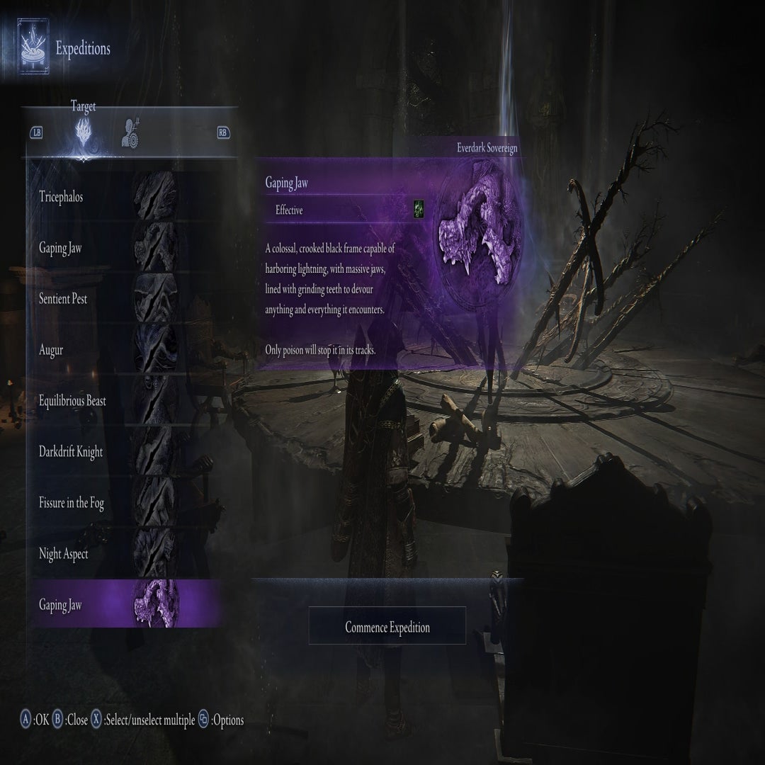 The player hovers over the Everdark Sovereign Gaping Jaws Expedition in Elden Ring Nightreign